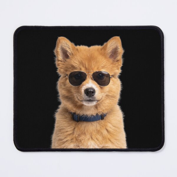 Item preview, Cute Baby Havanese Dog Wearing Sunglasses Funny designed and sold by RareLavender.