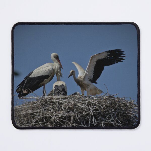Item preview, Frozen reality - Beautiful nature 878 designed and sold by deep-sea-birds.