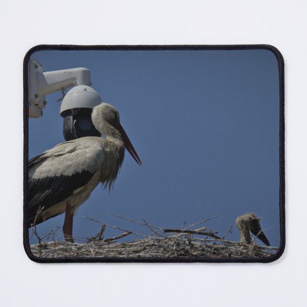 Item preview, Frozen reality - Beautiful nature 879 designed and sold by deep-sea-birds.