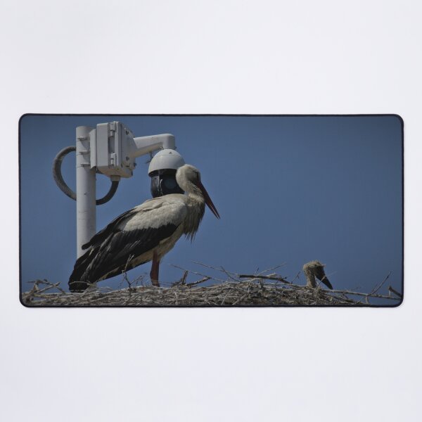 Item preview, Frozen reality - Beautiful nature 879 designed and sold by deep-sea-birds.