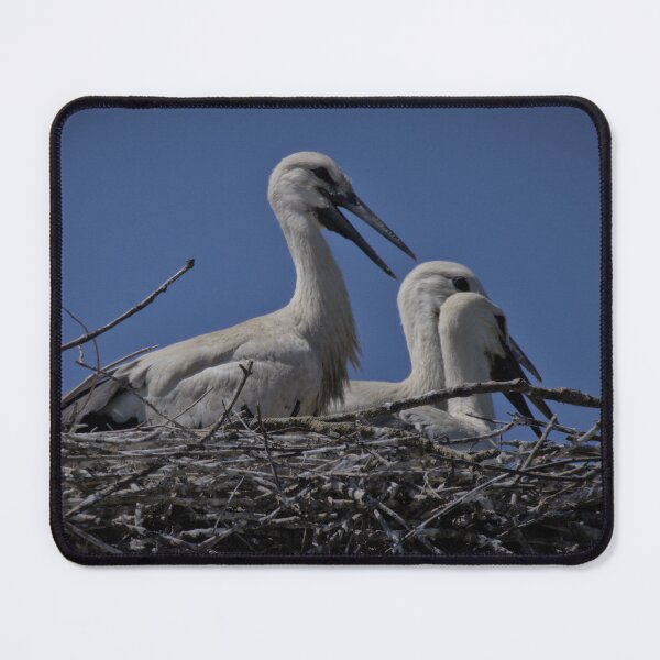 Item preview, Frozen reality - Beautiful nature 880 designed and sold by deep-sea-birds.