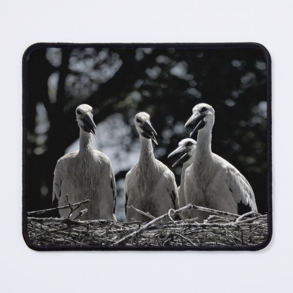 Item preview, Frozen reality - Beautiful nature 882 designed and sold by deep-sea-birds.