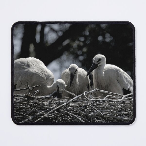 Item preview, Frozen reality - Beautiful nature 884 designed and sold by deep-sea-birds.