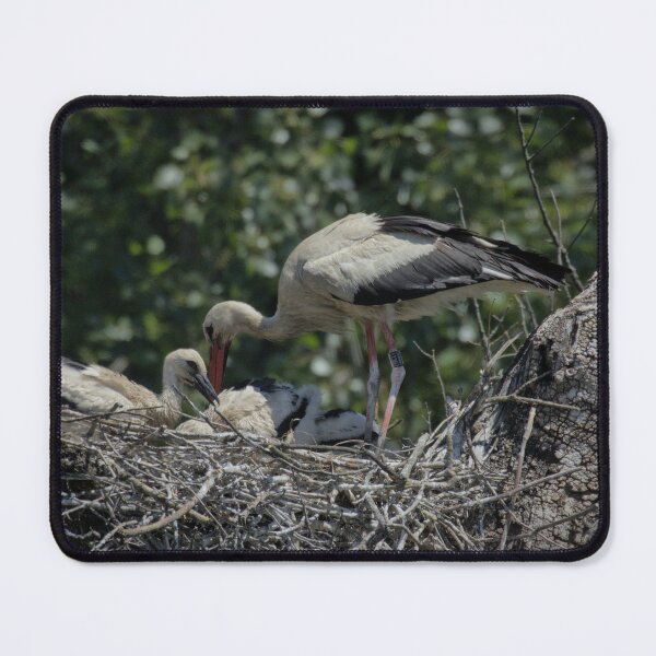 Item preview, Frozen reality - Beautiful nature 885 designed and sold by deep-sea-birds.