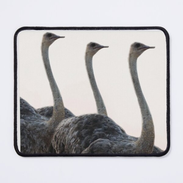 Item preview, Ostrich proud designed and sold by Sallygoartsy.