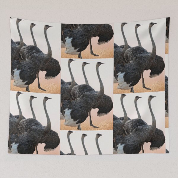 Item preview, Ostrich proud designed and sold by Sallygoartsy.