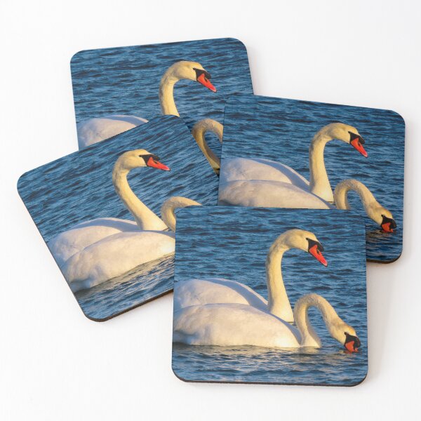 Item preview, Mute swans swimming in Mediterranean waters at sunset, Prado Beach, Marseille, France designed and sold by Nafid_Photographie.