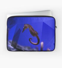 Seahorse Laptoptasche
