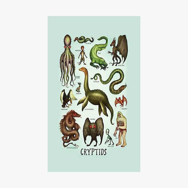 Cryptids Photographic Print