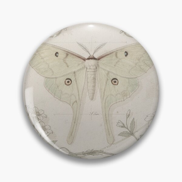 Item preview, Vintage Luna Moth Specimen Study designed and sold by PictorialWhimsy.