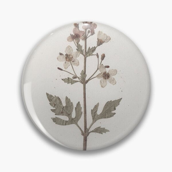 Item preview, Antique Pressed Wildflower Plate designed and sold by PictorialWhimsy.