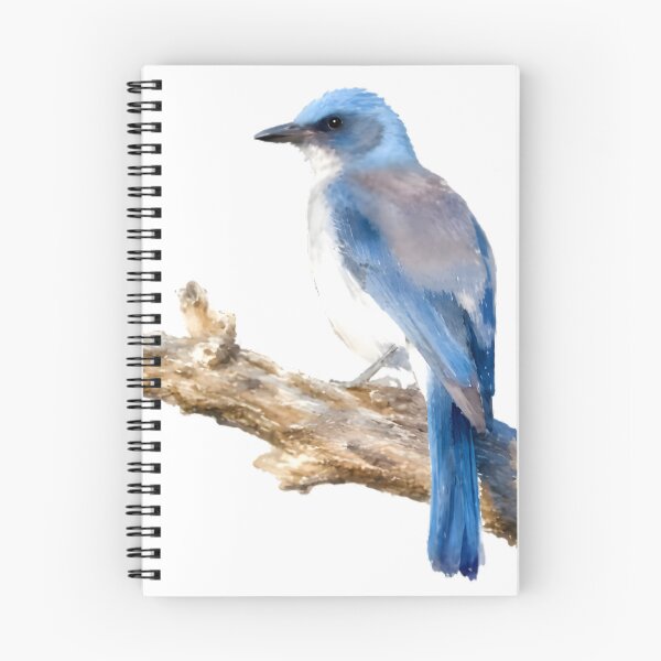 Item preview, Mexican Jay (Aphelocoma wollweberi) designed and sold by HOMETOWN86.