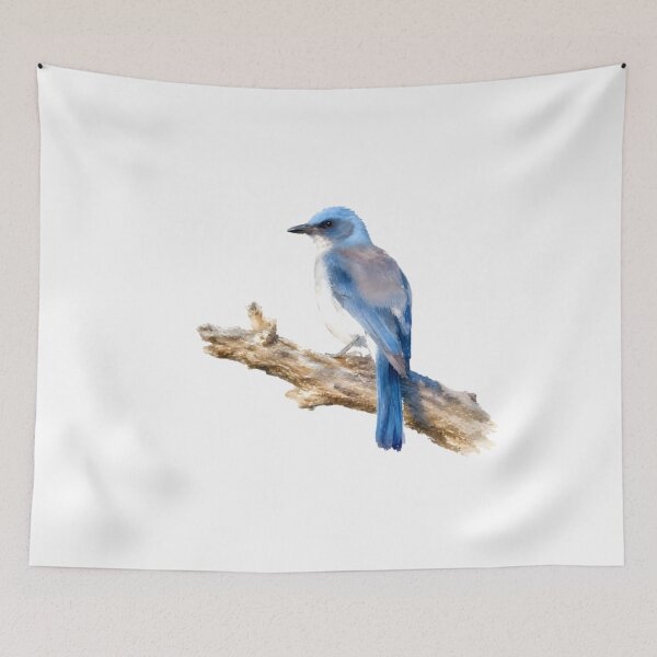 Item preview, Mexican Jay (Aphelocoma wollweberi) designed and sold by HOMETOWN86.