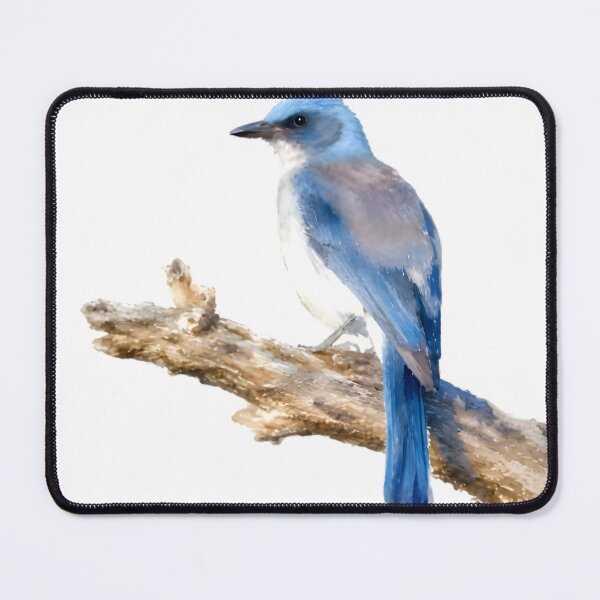 Item preview, Mexican Jay (Aphelocoma wollweberi) designed and sold by HOMETOWN86.
