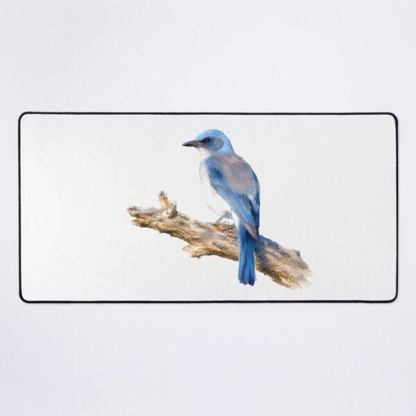 Item preview, Mexican Jay (Aphelocoma wollweberi) designed and sold by HOMETOWN86.