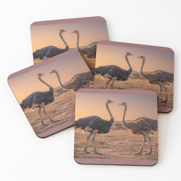 Item preview, Two Ostriches Facing Each Other | Realistic Wildlife Illustration designed and sold by SmikiM.
