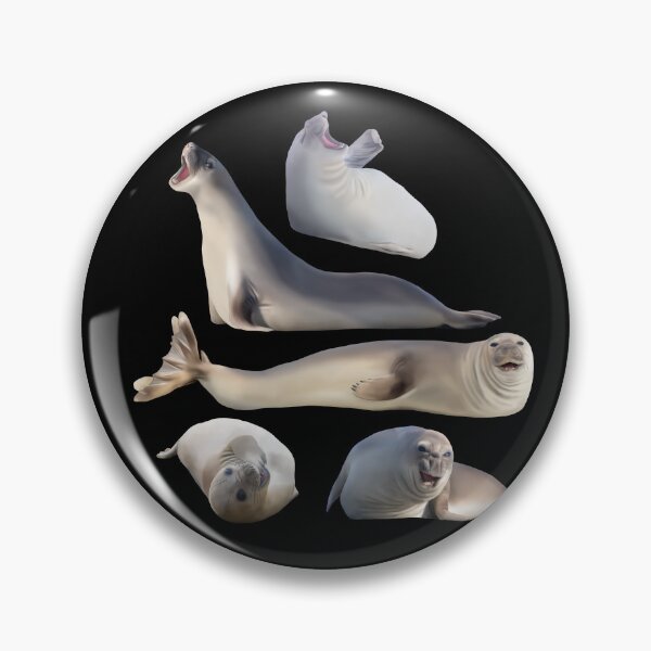 Item preview, Elephant seal medley designed and sold by GivernyKate.