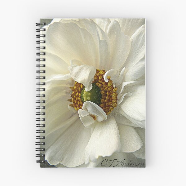 Item preview, Remarkable Ranunculus  designed and sold by CJ Anderson.