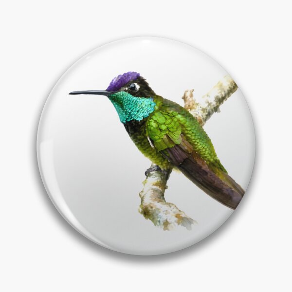 Item preview, Rivoli's Hummingbird (Eugenes fulgens) designed and sold by HOMETOWN86.