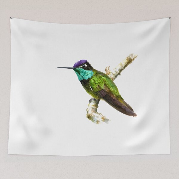 Item preview, Rivoli's Hummingbird (Eugenes fulgens) designed and sold by HOMETOWN86.