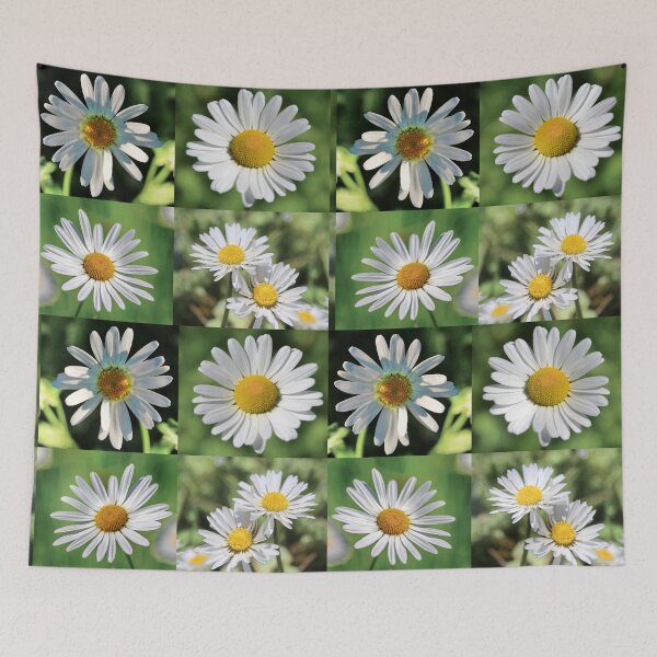 Item preview, Wild Daisy Flower Photo Collage designed and sold by JurateArt-DK.