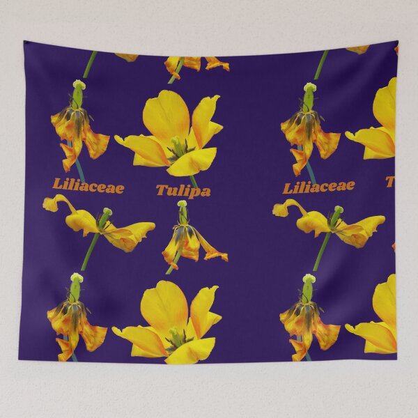 Item preview, Yellow Tulip Botanical Art Liliaceae Tulipa designed and sold by JurateArt-DK.