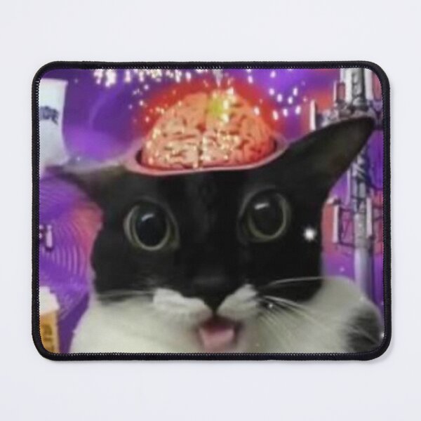 Item preview, cat brain designed and sold by cloudzer0000.