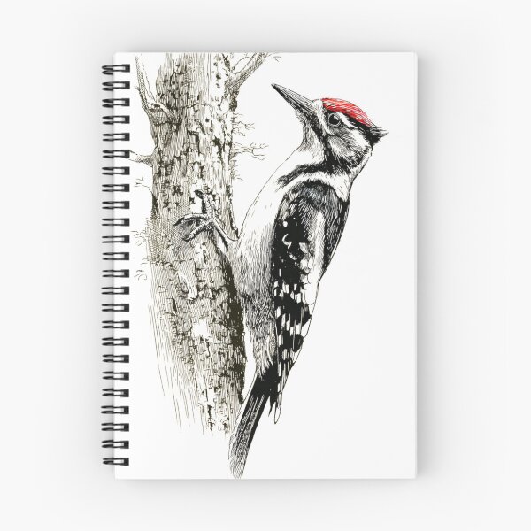 Item preview, A Woodpecker clinging to tree bark, Birds in Motion designed and sold by CDC40.