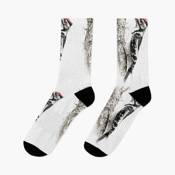 Item preview, A Woodpecker clinging to tree bark, Birds in Motion designed and sold by CDC40.