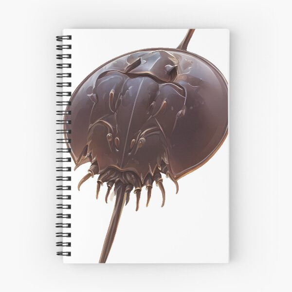 Item preview, Horseshoe Crab Icon designed and sold by pumsquare.