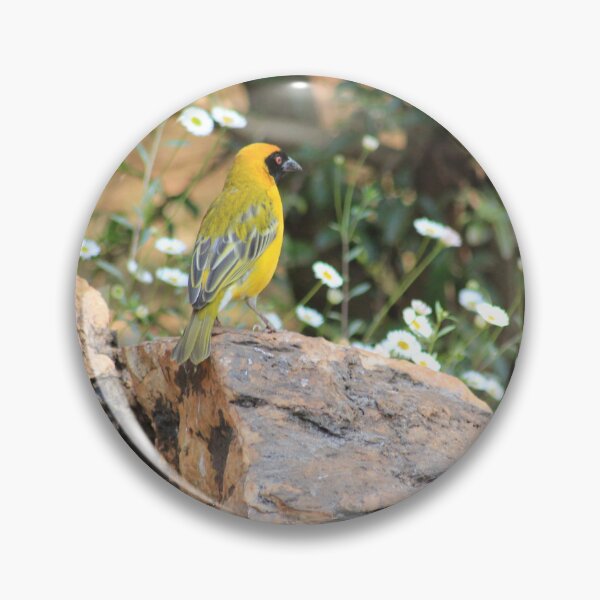 Item preview, Camino con... belleza designed and sold by Maree Clarkson .