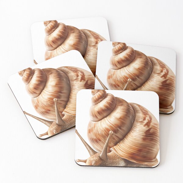 Item preview, Whelk Sea Snail Icon designed and sold by pumsquare.