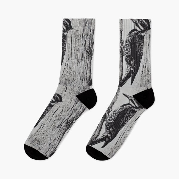 Item preview, A Woodpecker clinging to tree bark, Birds in Motion designed and sold by CDC40.