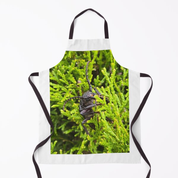 Item preview, Top view of an armored longhorn beetle on a green conifer background. designed and sold by TatinkaArtskill.