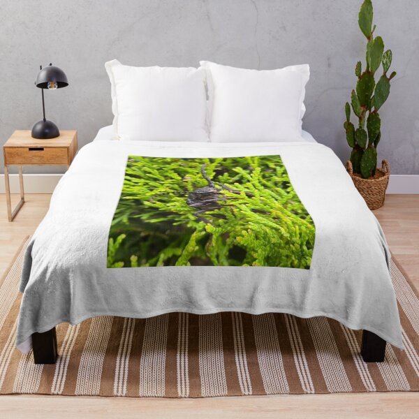 Item preview,  Top view of an armored longhorn beetle on a green conifer background. designed and sold by TatinkaArtskill.