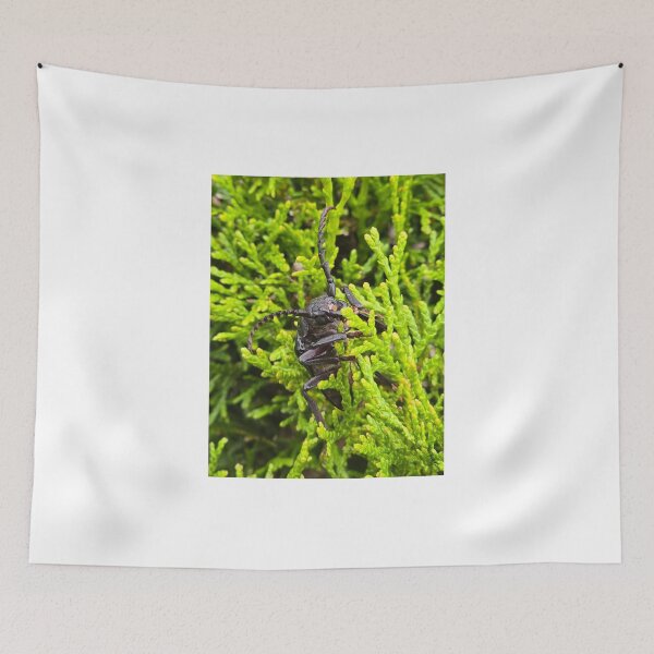 Item preview,  Top view of an armored longhorn beetle on a green conifer background. designed and sold by TatinkaArtskill.