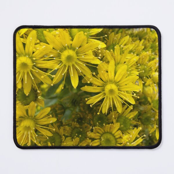 Item preview, Cheerful Yellow Flowers designed and sold by Betsy Phillips.