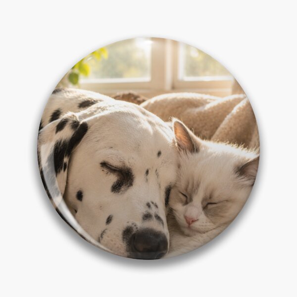 Item preview, Sleeping Dalmatian and White Cat Best Friends designed and sold by BagFactoryUK.