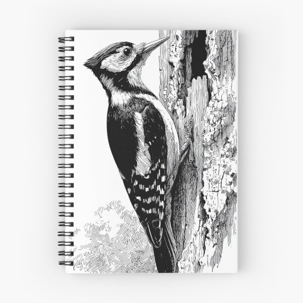 Item preview, A Woodpecker clinging to tree bark, Birds in Motion designed and sold by CDC40.