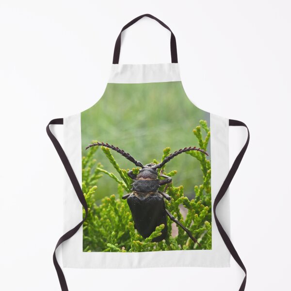 Item preview, Side view of a beetle on green thuja branches, macro shot. designed and sold by TatinkaArtskill.