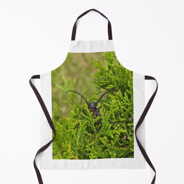 Item preview, Side view of a beetle on green thuja branches, macro shot. designed and sold by TatinkaArtskill.