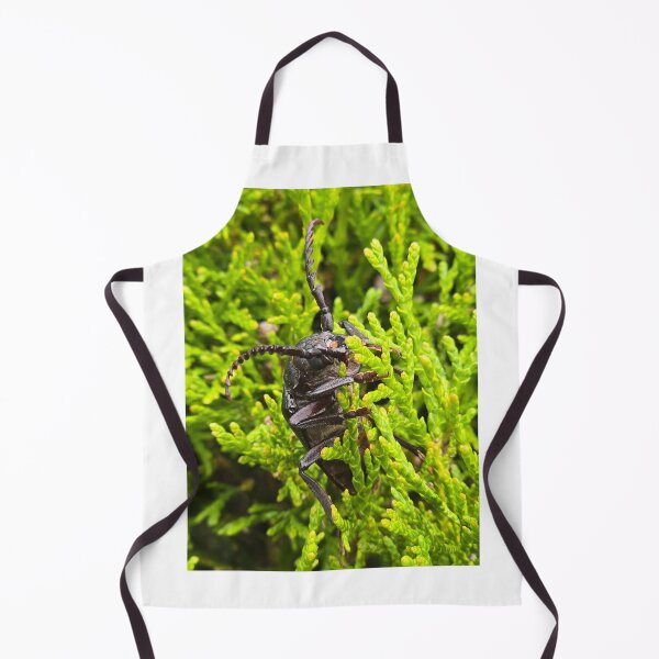 Item preview, Side view of a beetle on green thuja branches, macro shot. designed and sold by TatinkaArtskill.