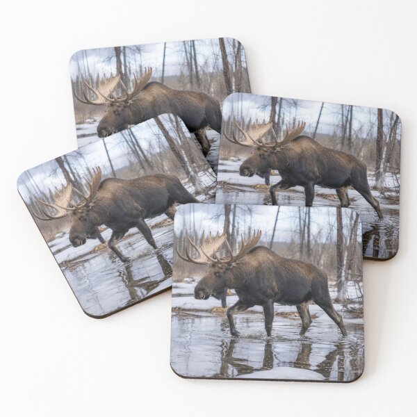 Item preview, Majestic Bull Moose Crossing a Snowy Forest Stream | Winter Wildlife Photography | Canvas Wall Art designed and sold by ApexAnimal Art.
