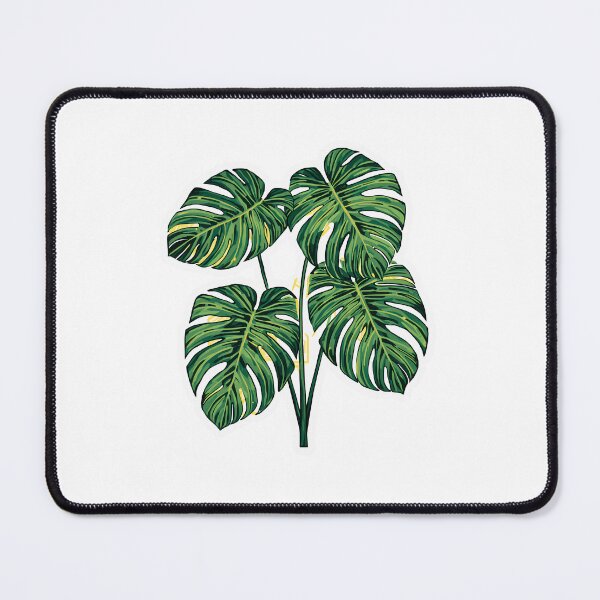 Item preview, Modern Monstera Plant Botanical Illustration with Gold Accents Tropical Leaf Sticker designed and sold by Kavya Art.