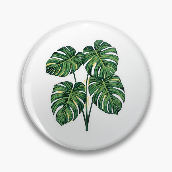 Item preview, Modern Monstera Plant Botanical Illustration with Gold Accents Tropical Leaf Sticker designed and sold by Kavya Art.