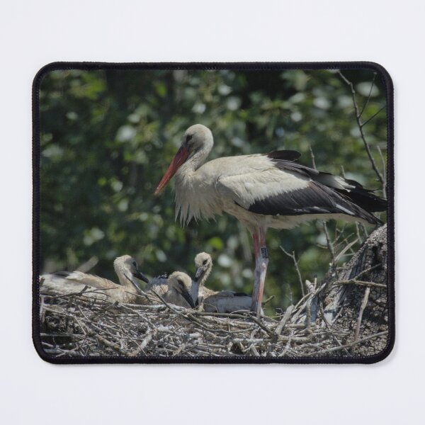 Item preview, Frozen reality - Beautiful nature 886 designed and sold by deep-sea-birds.