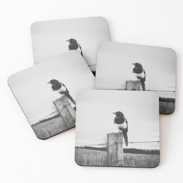 Item preview, A Magpie perched on an old fence, Birds in Motion designed and sold by CDC40.