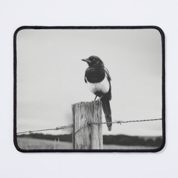 Item preview, A Magpie perched on an old fence, Birds in Motion designed and sold by CDC40.