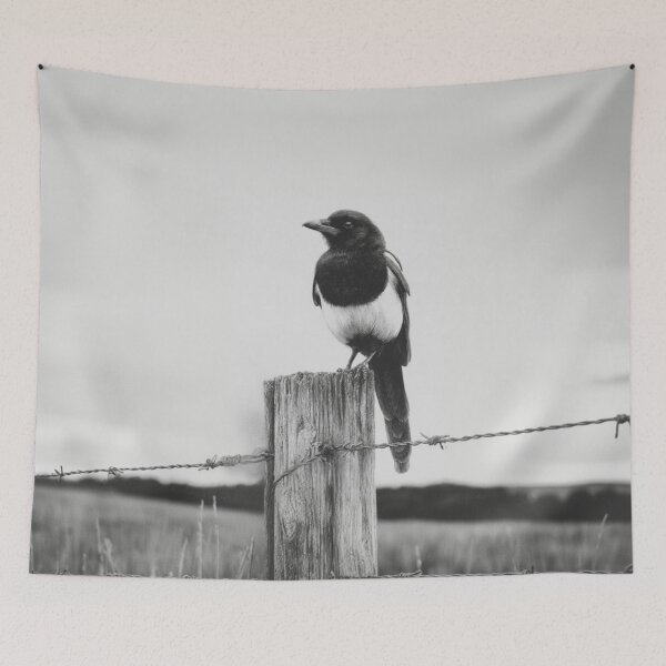 Item preview, A Magpie perched on an old fence, Birds in Motion designed and sold by CDC40.