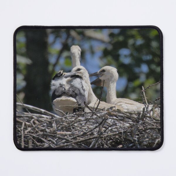 Item preview, Frozen reality - Beautiful nature 887 designed and sold by deep-sea-birds.